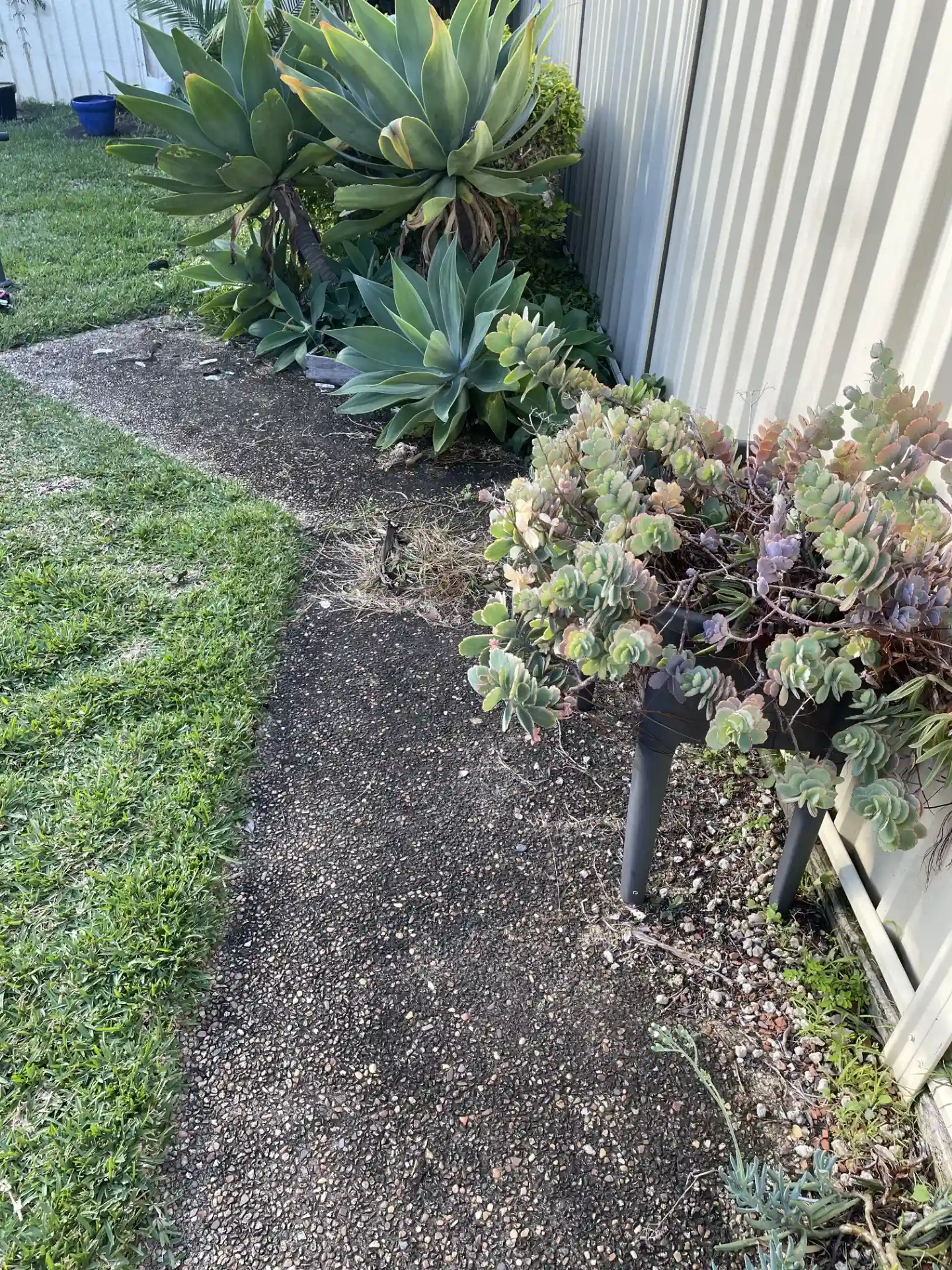 Nelson Bay Pressure Cleaning