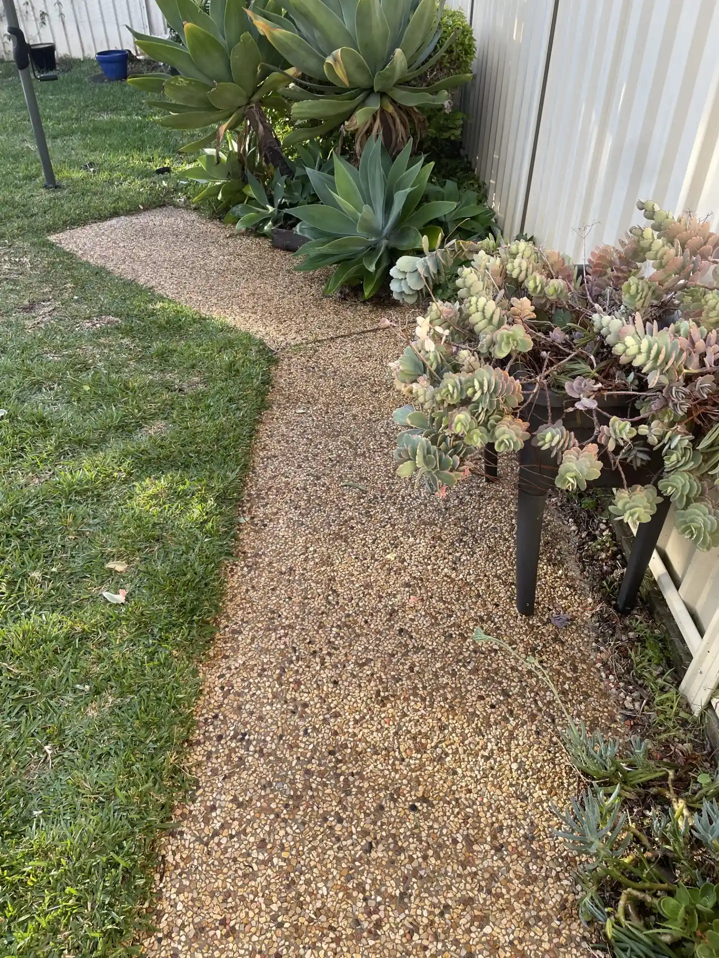 Corlette Pressure Cleaning