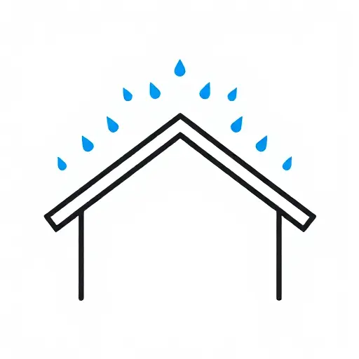 Roof Cleaning